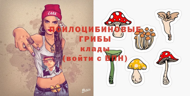 ссылка на мегу маркетплейс  Заполярный  Галлюциногенные грибы Psilocybe  магазин продажи наркотиков 